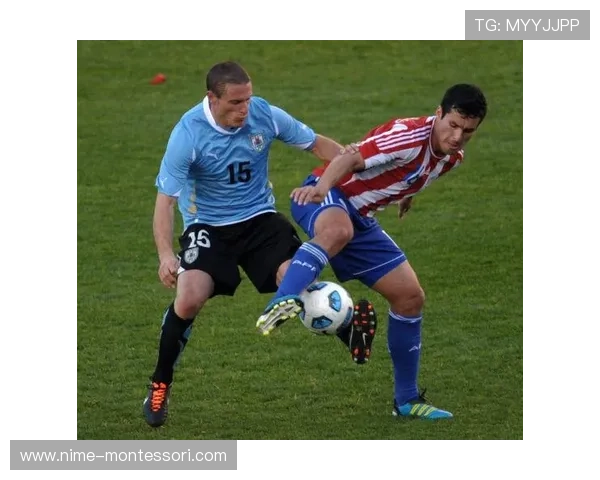 美洲杯最新动态:各队备战激烈角逐,谁能脱颖而出夺得冠军 - 副本 - 副本 - 副本 (3)