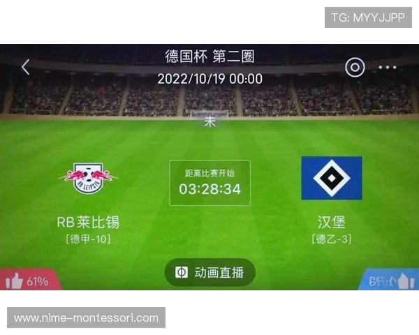 德甲数据中心全面解析球队表现与赛事趋势分析