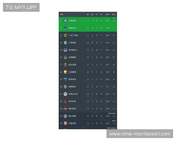 中甲最新赛季战报:各队表现回顾与积分榜走势分析 - 副本 (3) 中甲最新赛季战报:各队表现回顾与积分榜走势分析 - 副本 (3)